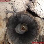 MA 68 Lichtbildstelle