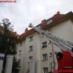 BF Wien: Eine Katze auf den Spuren von Santa Claus