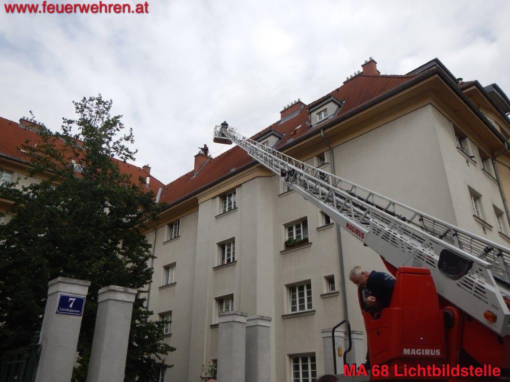 BF Wien: Eine Katze auf den Spuren von Santa Claus