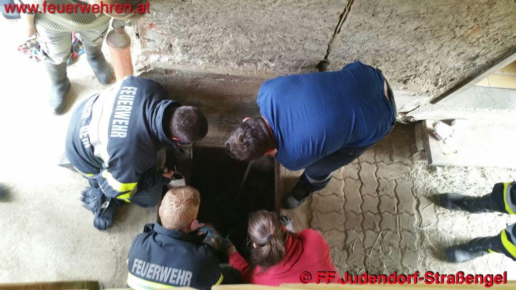 FF Judendorf-Straßengel: Pony in Schacht gestürzt