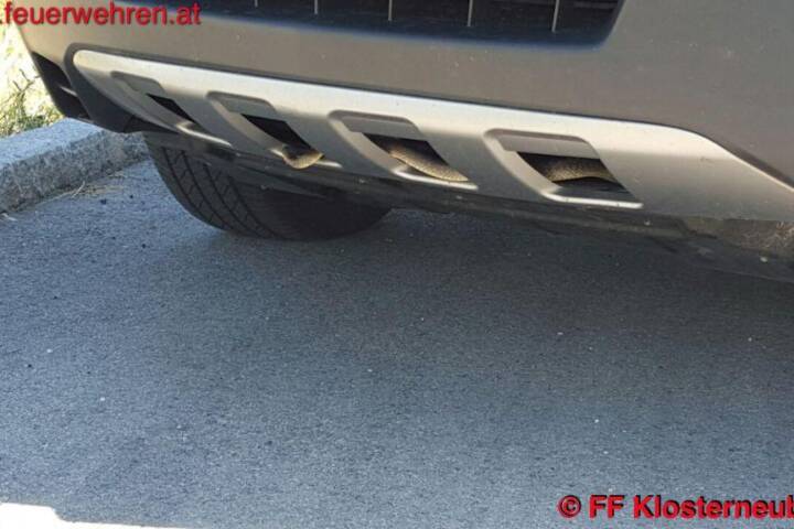 FF Klosterneuburg: Schlange in Auto!