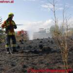 FF Pasching: Feldbrand von 1.000 m2 – Übergreifen verhindert!