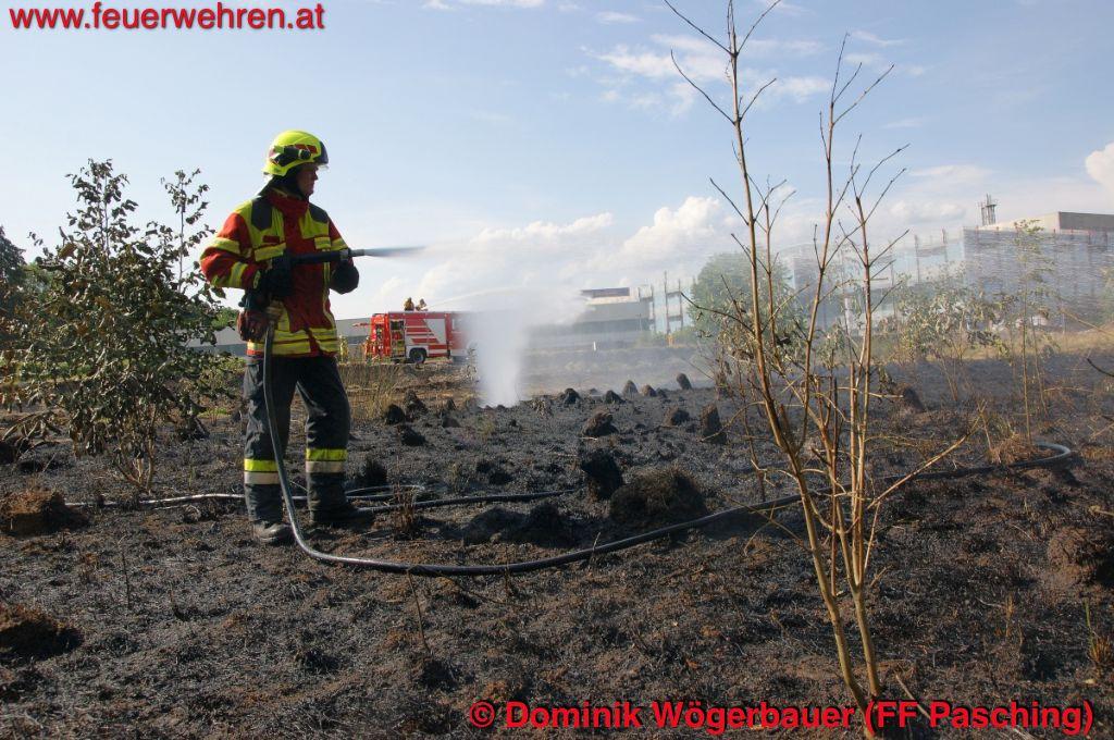 FF Pasching: Feldbrand von 1.000 m2 – Übergreifen verhindert!