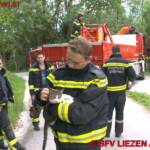 BFV Liezen: FF Gröbming rettete kleines Kätzchen von Baum