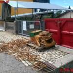 FF Kremsmünster: Bienen in Kartoncontainer