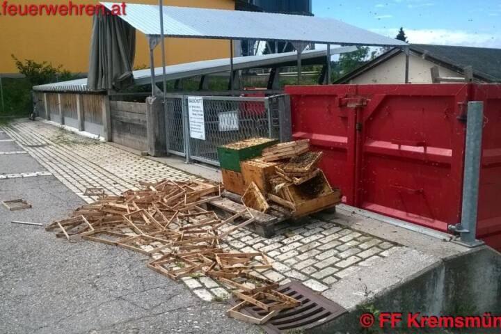 FF Kremsmünster: Bienen in Kartoncontainer
