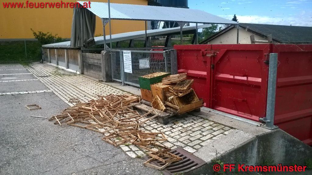 FF Kremsmünster: Bienen in Kartoncontainer