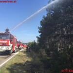 FF Ebenfurth: Waldbrand Ebenfurth – Grossmittel