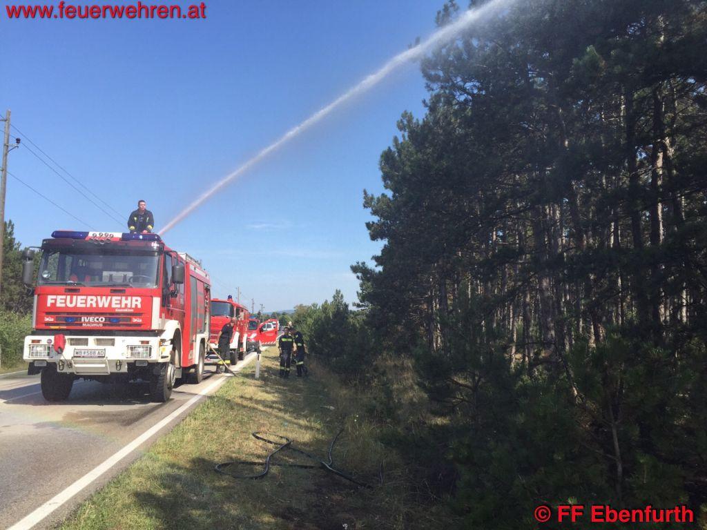 FF Ebenfurth: Waldbrand Ebenfurth – Grossmittel