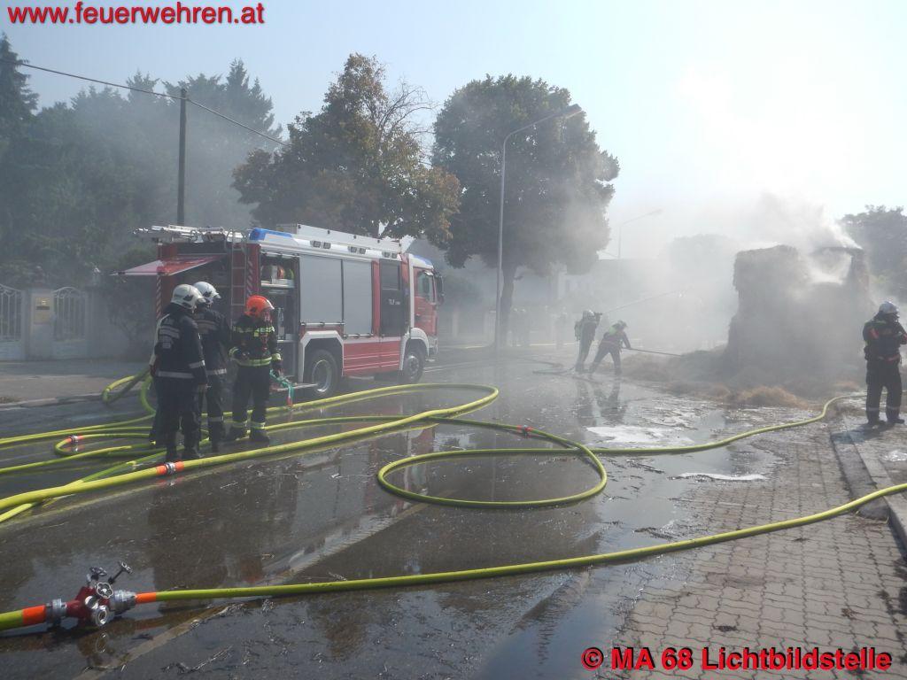 BF Wien: Ladegut vollständig vom Brand erfasst