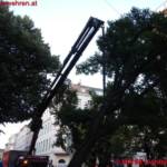 MA 68 Lichtbildstelle