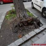 MA 68 Lichtbildstelle