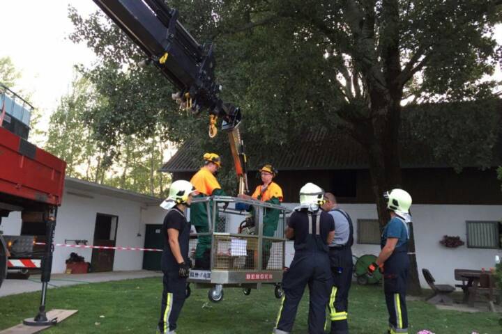 FF Ebenfurth: Sturmschaden in Ebenfurth