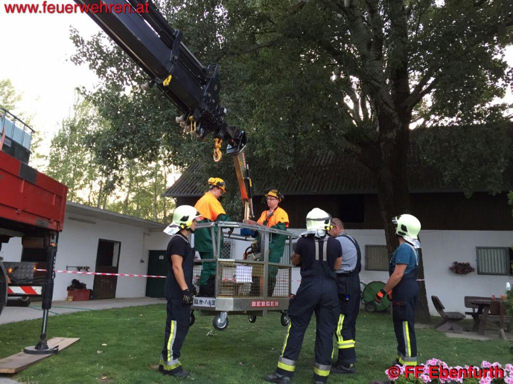 FF Ebenfurth: Sturmschaden in Ebenfurth