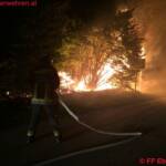 FF Ebenfurth: Brand mehrerer Bäume