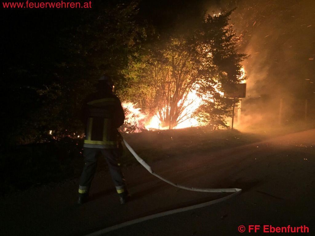 FF Ebenfurth: Brand mehrerer Bäume