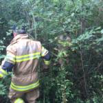 FF St. Georgen im Attergau