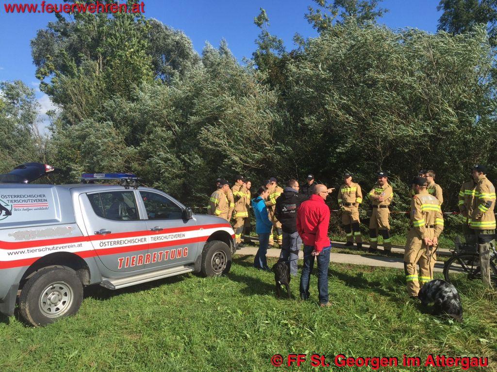 FF St. Georgen i.A.: Suche nach Würgeschlange