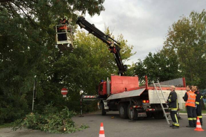 FF Ebenfurth: Sturmschaden – Gefahr in Verzug