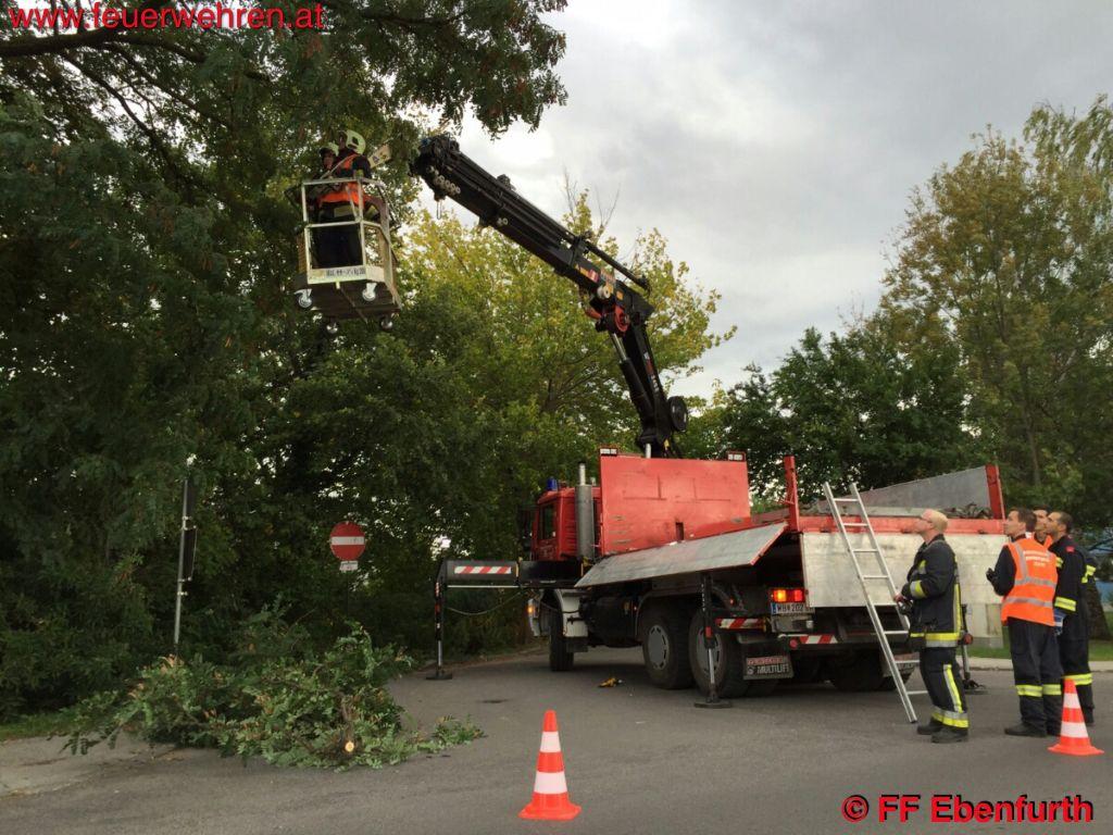 FF Ebenfurth: Sturmschaden – Gefahr in Verzug