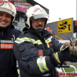 MA 68 Lichtbildstelle