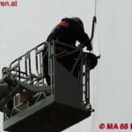 BF Wien: Eule verheddert sich in Schutznetz