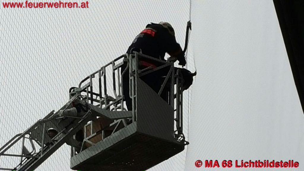 BF Wien: Eule verheddert sich in Schutznetz