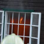 BFVDL, LM d.V. Hannes Mörth