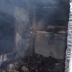 BFVDL, LM d.V. Hannes Mörth