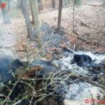 FF Judendorf-Straßengel