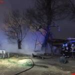 BF Wien: Baumhaus brannte ab – Baum musste gefällt werden