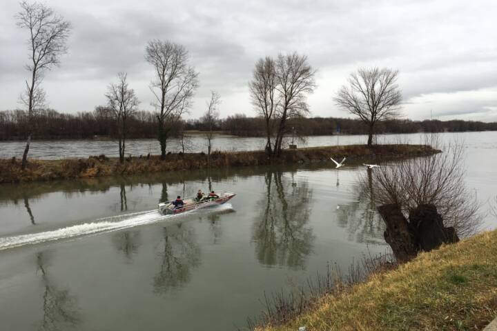 FF Klosterneuburg: Personensuche auf der Donau