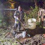 FF Krems / Manfred Wimmer