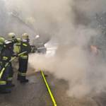 FF Krems - Alexander Zsivkovits