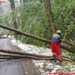 HFM Robert Tauschmann, FF Judendorf-Straßengel