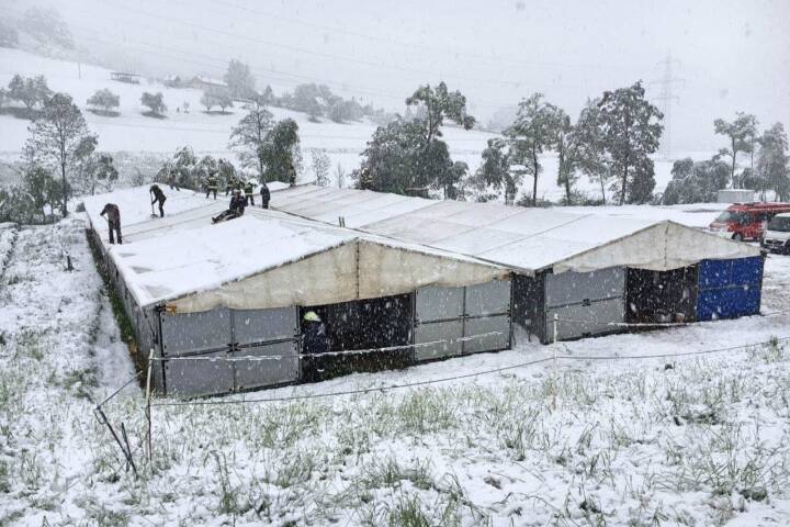 FF-Preding: Mehr als sechs Stunden im „Schnee-Einsatz“