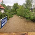 BFVDL: Nach dem Schnee kam der Regen... 8 Stopper