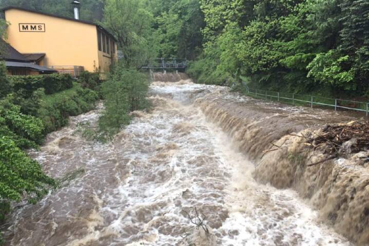BFVDL: Nach dem Schnee kam der Regen…