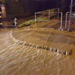 FF Klosterneuburg: Verklausung im Haselbach