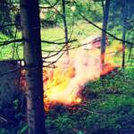FF Oberaich: Waldbrand in Oberaich