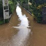 Feuerwehren BFVGU Abschnitt 6