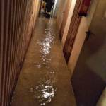 Feuerwehren BFVGU Abschnitt 6