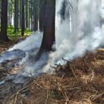 FF Oberaich: Größerer Waldbrand verhindert