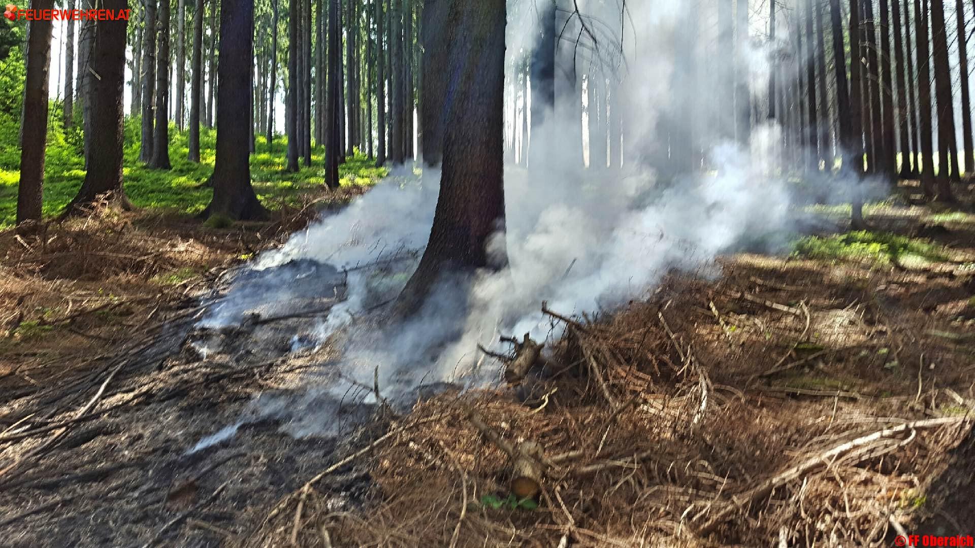 FF Oberaich: Größerer Waldbrand verhindert