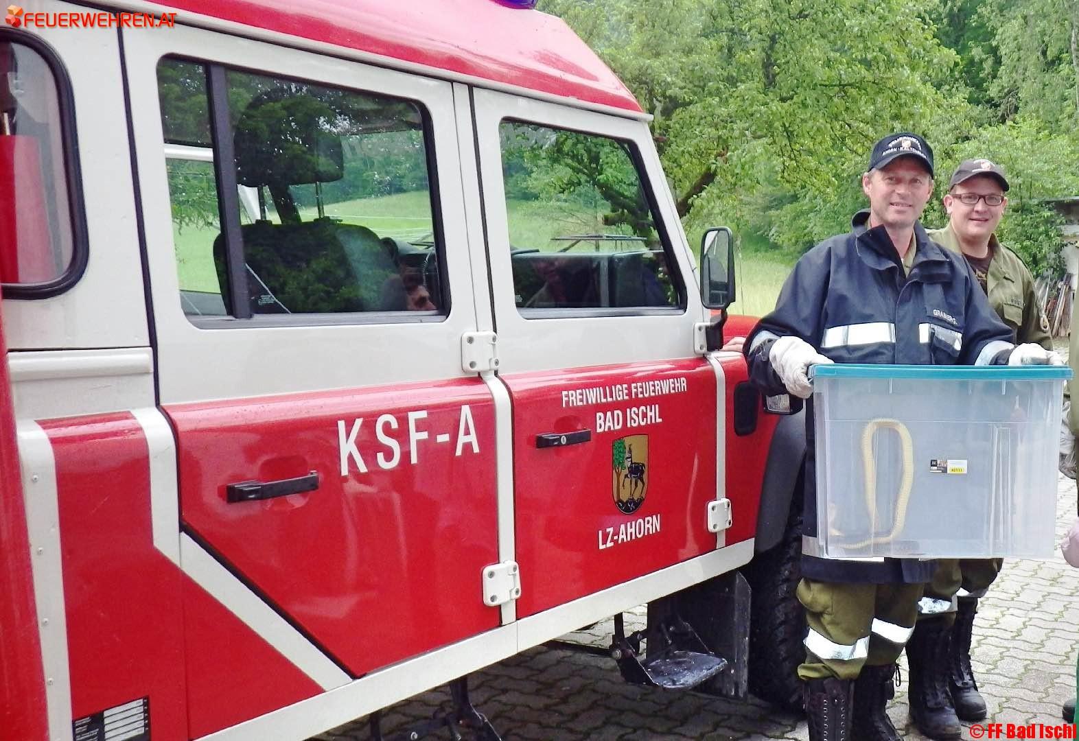 FF Bad Ischl: 2 Schlangen in Ischler Wohnung