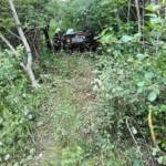 FF Mariazell: Mit 350 PS über Wiese in den Wald 2