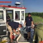 FF Rust/See: Bootsbergung am Neusiedlersee