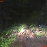 FF Judendorf-Straßengel