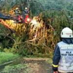 FF Bad Ischl: Unwetterschäden in Bad Ischl