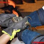 FF Steinberg-Rohrbach: Schlange in der Küche